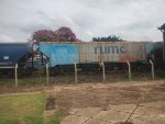 RUMO HPT-030189-2